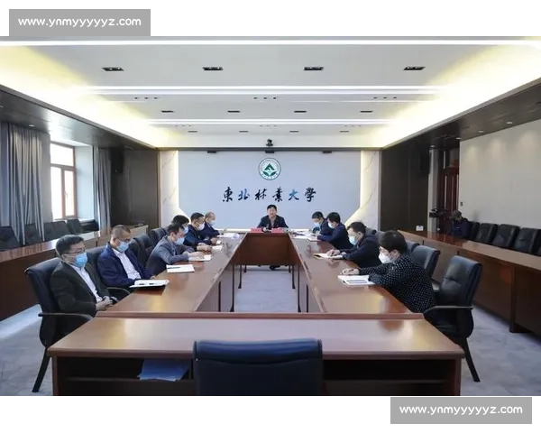 hth会体会官方网站登录入口全面解析及操作指南