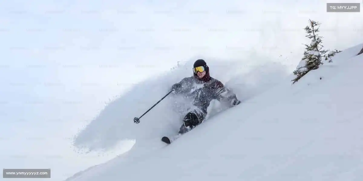 行业领先的理由